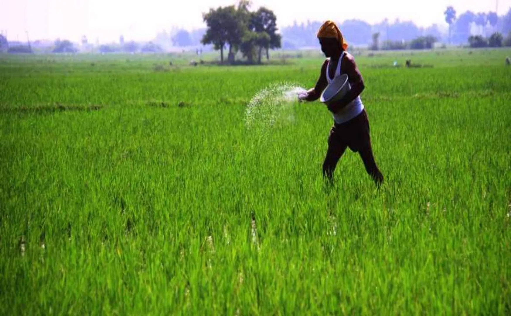 pm kisan scheme farmers tamilnadu officers suspended 